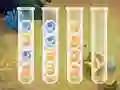 Hra Sort Bubbles