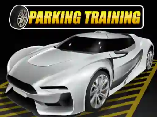 Hra Parking Training