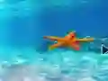 Hra Escape From Underwater Starfish