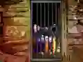 Hra Hidden Cat Escape
