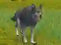 Hra The Wolf: Wild Animal Simulator