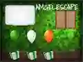 Hra Amgel St Patrick's Day Escape 3
