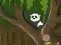 Hra Panda Jungle Escape