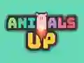 Hra Animals Up