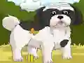 Hra Dogs Spot the Diffs Part 2