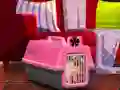 Hra Escape The Small Pug