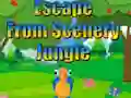 Hra Escape from Scenery Jungle