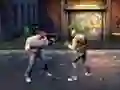 Hra Hood Fighter