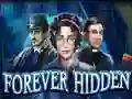 Hra Forever Hidden