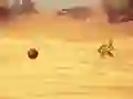 Hra Monkey Shooting