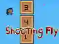 Hra Shooting Fly