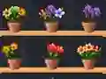 Hra Good Flower Master
