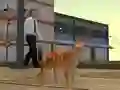Hra Cat City Simulator