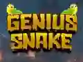 Hra Genius Snake