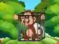 Hra Free the Captive Ape