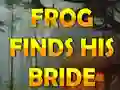 Hra Frog Finds His Bride