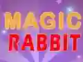 Hra Magic Rabbit