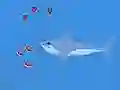 Hra Oceans Shees