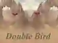 Hra Double Bird