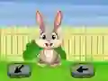 Hra Springtime Escape