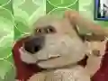 Hra Talking Ben the Dog