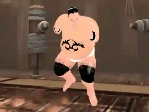 Hra Sumo Fury