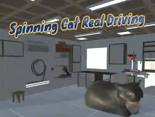 Hra Spinning Cat Real Driving