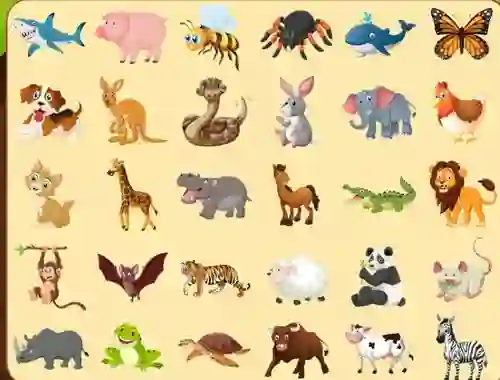 Hra Discover Animals
