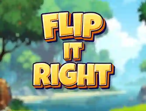Hra Flip It Right