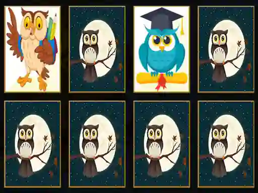 Hra Cute Owl Memory