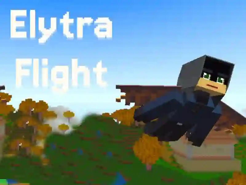 Hra Elytra Flight