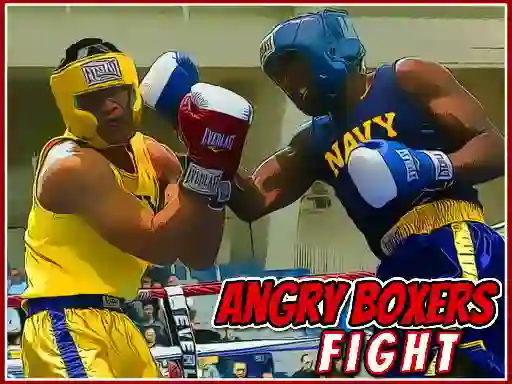 Hra Angry Boxers Fight