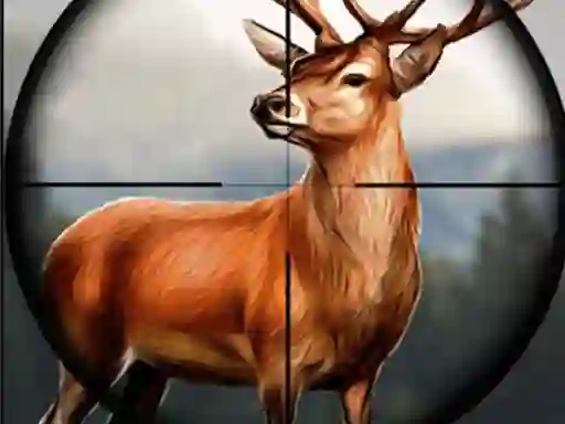 Hra Animal Safari Hunter 2020