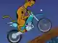 Hra Scooby Doo Trail
