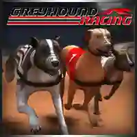 Hra Greyhound Racing