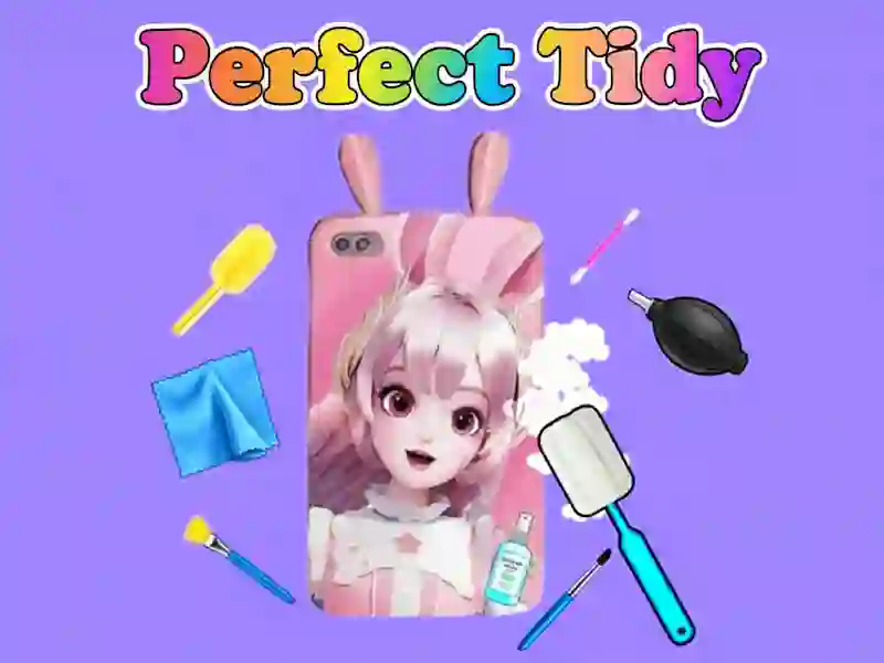 Hra Perfect Tidy