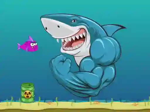 Hra Mad Shark