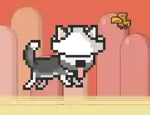 Hra Mr Jump Husky