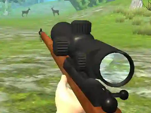 Hra Hunter 3D