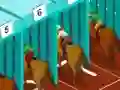 Hra Derby racing