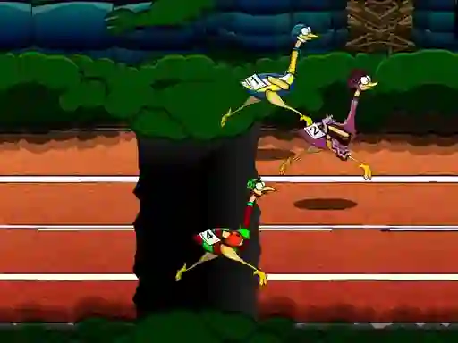 Hra Big Birds Racing