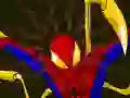 Hra Spiderman Customization