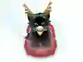 Hra Pet Sledding