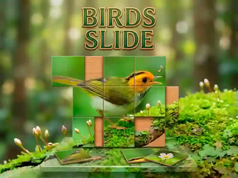Hra Birds Slide