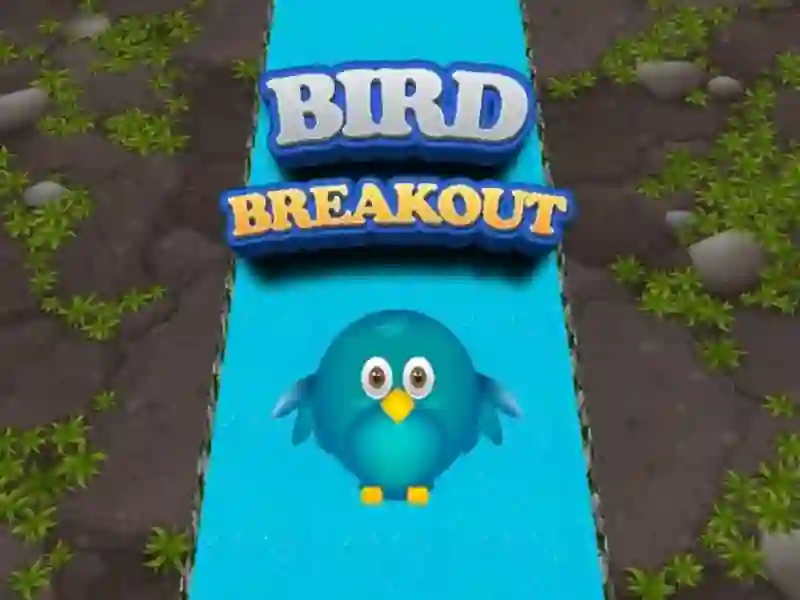 Hra Bird Breakout