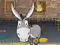 Hra Donkey Gafoor