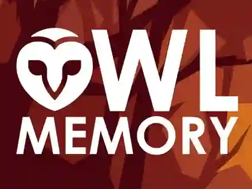 Hra Owl Memory