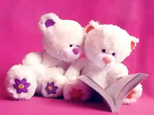 Hra Cute Teddy Bears Slide