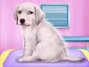 Hra Labrador at the doctor salon