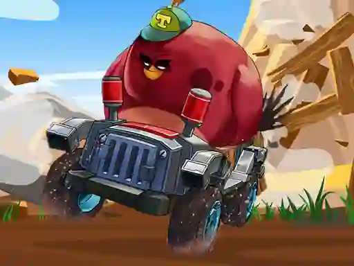 Hra Crazy Birds Kart Hidden Stars
